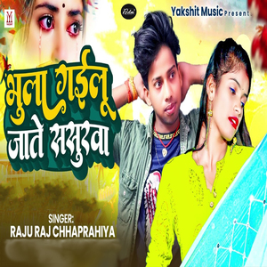 Bhula Gailu Jate Sasurwa