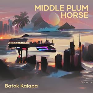 Middle Plum Horse