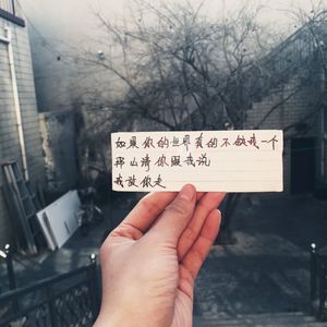 玫瑰荆棘间的爱之承诺