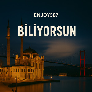 Biliyorsun