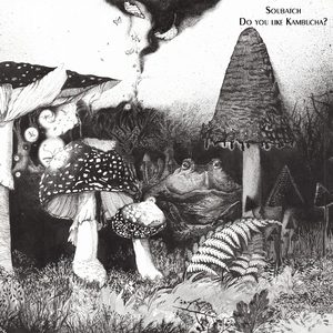 Do You Like Kambucha?