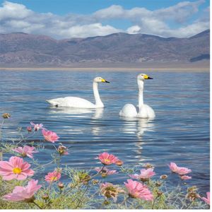 寻找自己的意义