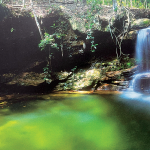 A Dream I Never Want to Wake up From