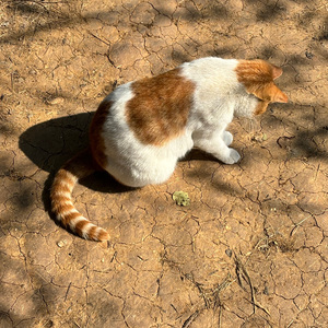 唯物宣言(唯物论核心知识点之歌)