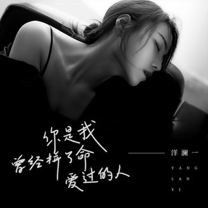 你是我曾经拼了命爱过的人 (DJ沈念版)