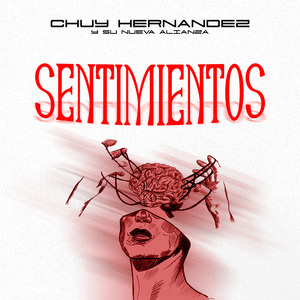 Sentimientos