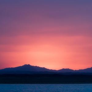 layer of heavy cream