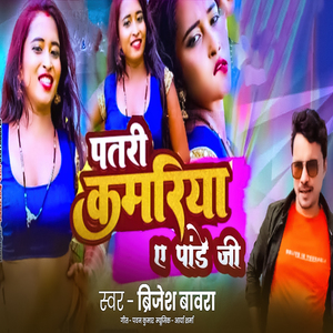 Patri Kamriya Ae Pandey JI