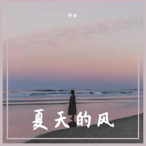 辞白_夏天的风(女生弹唱版)