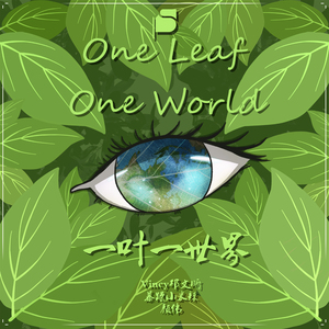 一叶一世界