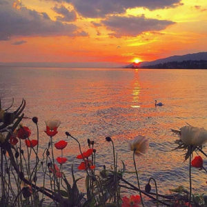 雾霭（翻自 我是土豆）