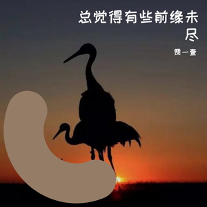 总觉得有些前缘未尽