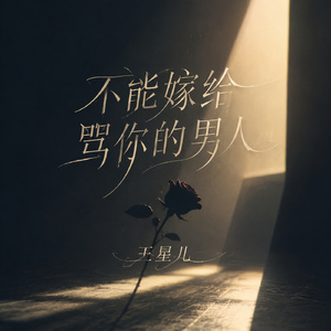 不能嫁给骂你的男人