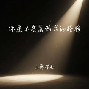 你愿不愿意做我的搭档