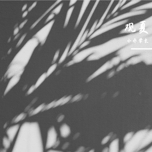 观夏