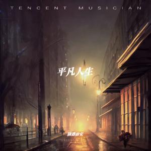 平凡人生（dj版）