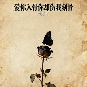 爱你入骨你却伤我刻骨