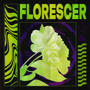 Rosas e Espinhos
