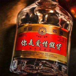 你是爱情假货（而我是蠢货）