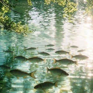 舒心・暖阳融郁.wav