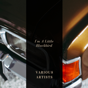 Little Buttercup (I'll Never Be The Same)