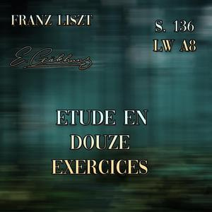S. 136/LW A8, Étude en douze exercices, Op. 6 No. 6 in G minor: Molto agitato