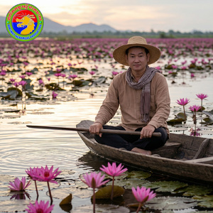 ម្តេចហ៊ានសួរខ្ញុំ?