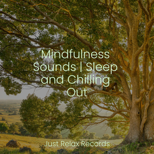 Daylight's Gilded Symphony