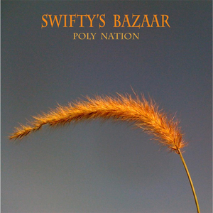 Poly Nation