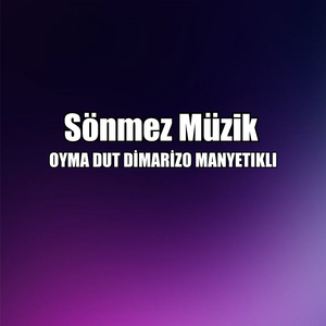 OYMA DUT DİMARİZO MANYETIKLI