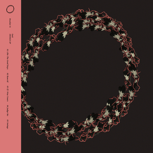 Rawcid (Original Mix)