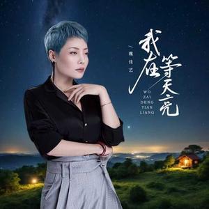 我在等天亮（DJ版）