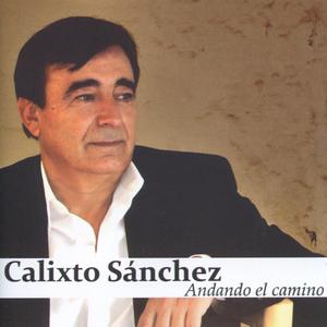 Tú Que Andas Por el Mundo (Malagueñas)