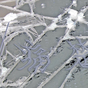 真的很對不起,但我沒有辦法