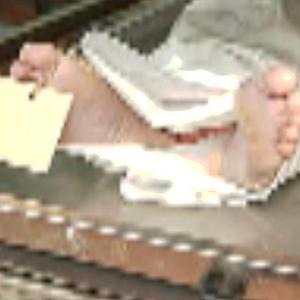 MORGUE(H8) [HOODWINK] [DXE]