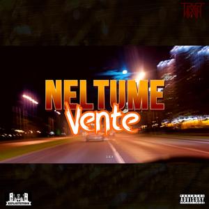 Vente