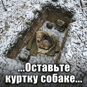 Оставьте куртку собаке