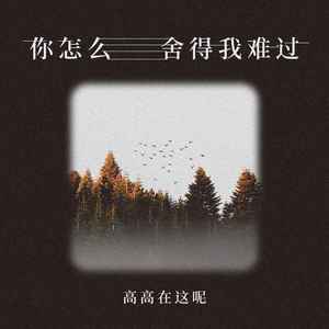 你怎么舍得我难过 (伴奏)