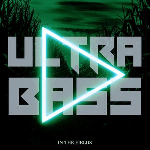 In The Fields (Remix)