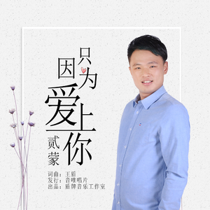 只因为爱上你