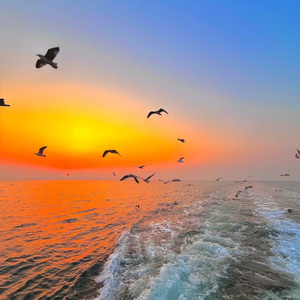 像珍惜自己一样 珍惜那些同样珍惜你的人