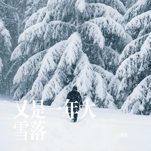 又是一年大雪落