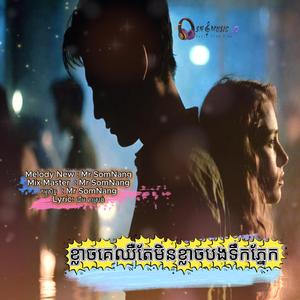 ខ្លាចគេឈឺ តែមិនខ្លាចបងទឹកភ្នែក New Original Song By Mr SomNang