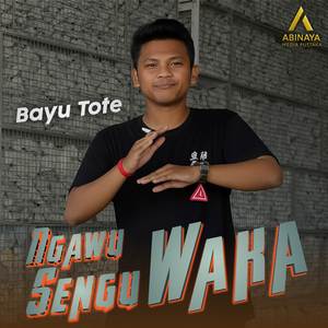 NGAWU SENGU WAKA