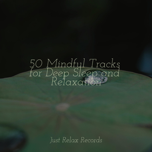 The Echoes of Reminiscence