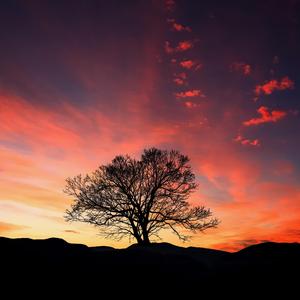 El Misterioso Clima de La Cumbre