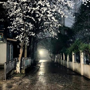 岁月长歌