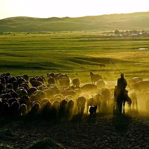 仙人指鹿（demo）