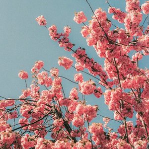 lovE不发音（改编版）