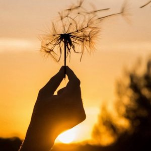 东边日出西边雨，道是无情却有情